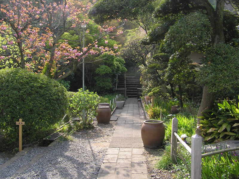 p4230204.jpg