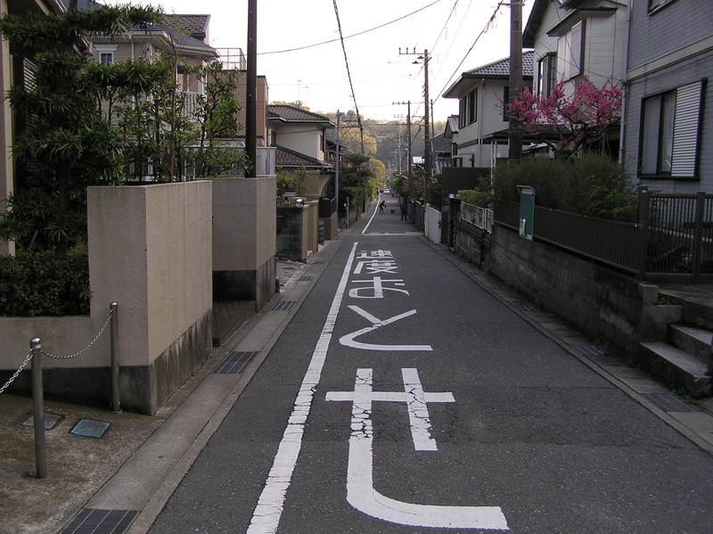 p4230238.jpg