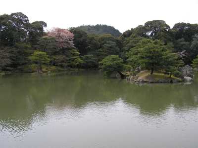 p4210021.jpg