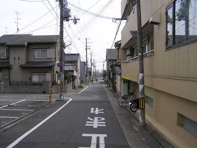 p4210038.jpg