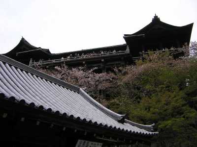 p4210100.jpg