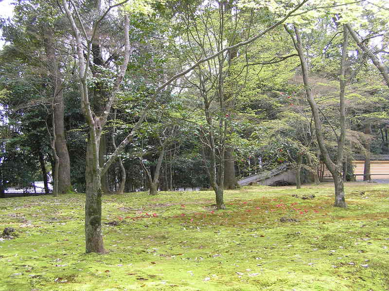 p4210011.jpg