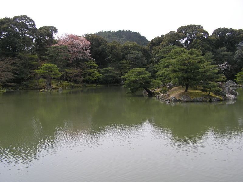 p4210021.jpg