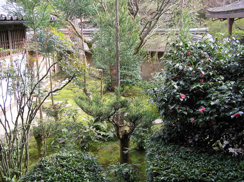 p4210043.jpg