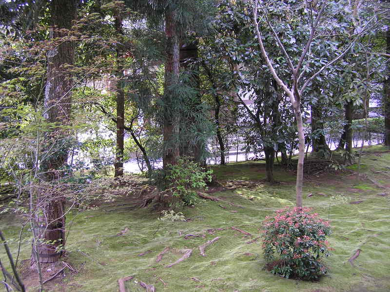 p4210046.jpg