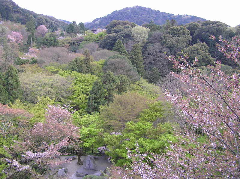 p4210081.jpg