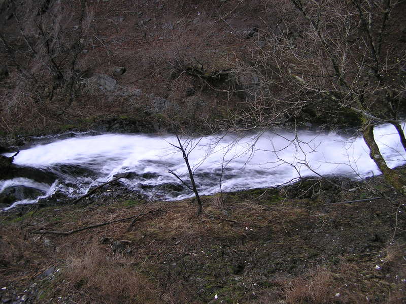 p4260102.jpg