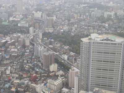 p4160004.jpg