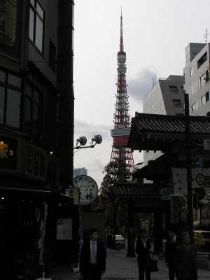 p4180041.jpg