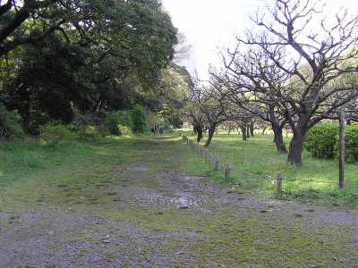 p4200206.jpg