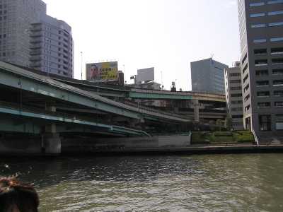 p4200217.jpg