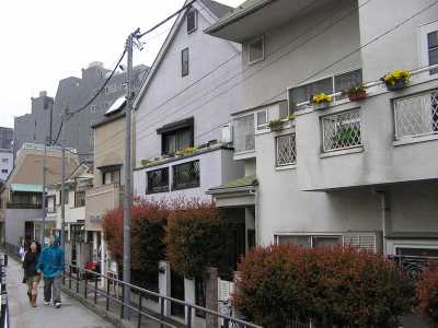 p4220178.jpg