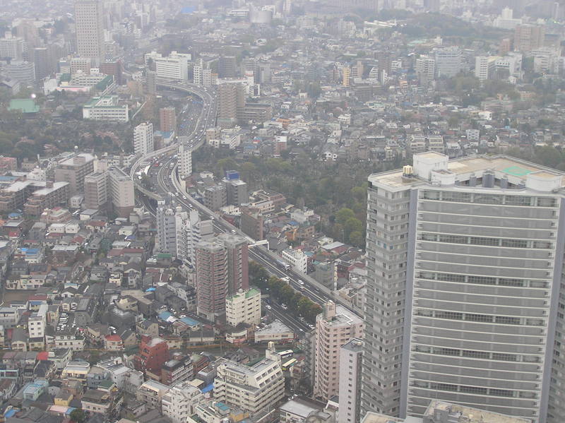 p4160004.jpg