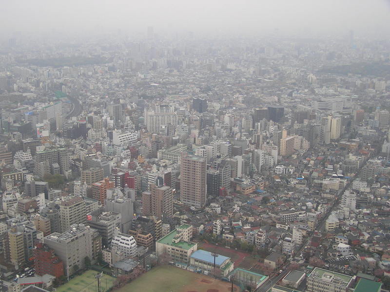 p4160005.jpg