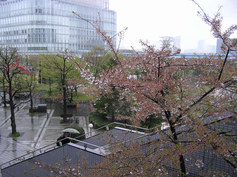 p4190148.jpg
