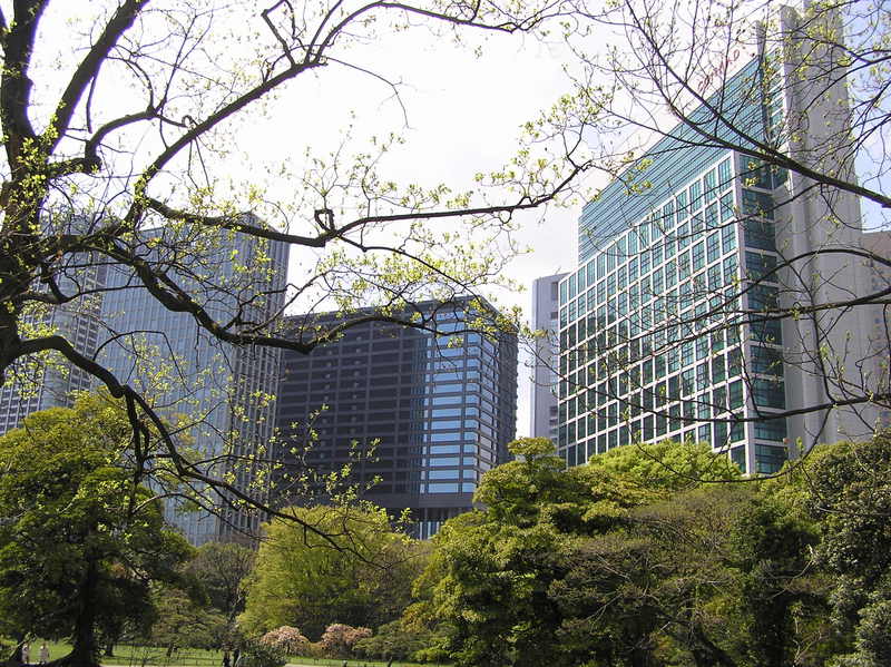 p4200171.jpg