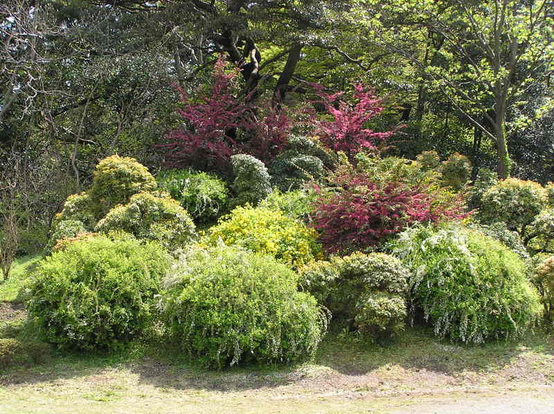 p4200184.jpg