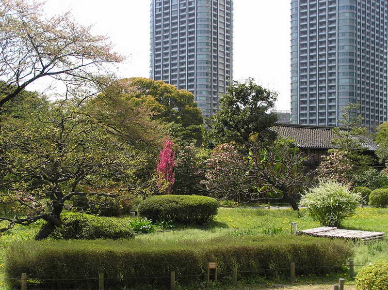 p4200185.jpg
