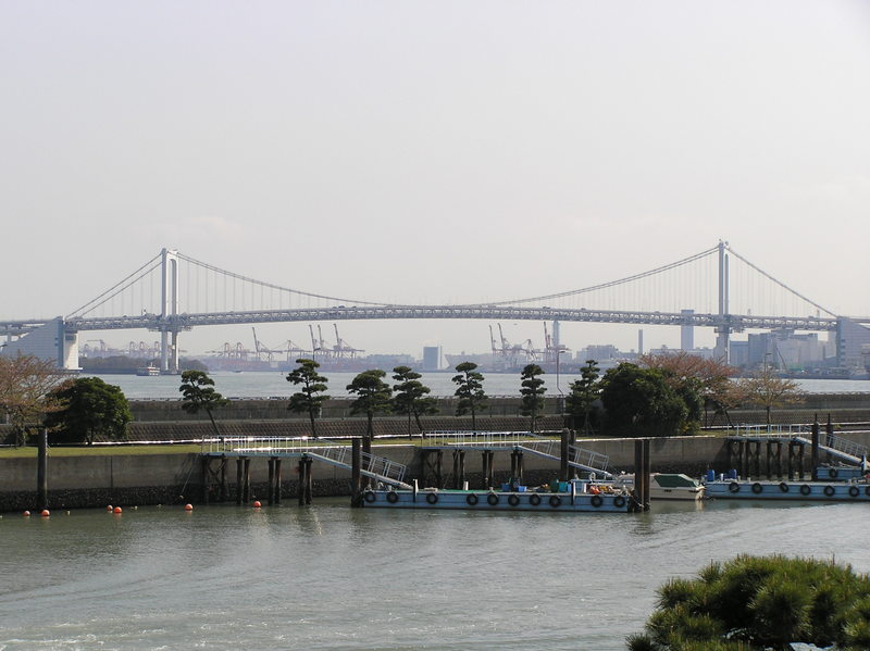 p4200203.jpg