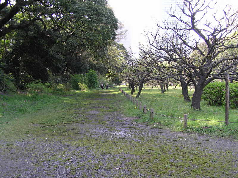 p4200206.jpg
