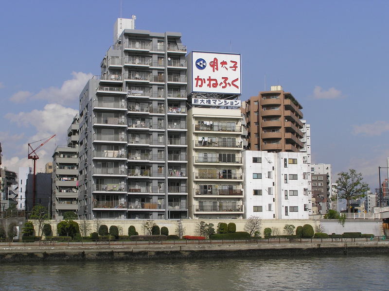 p4200220.jpg