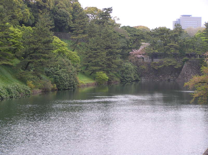 p4220117.jpg