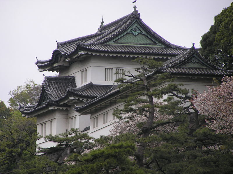 p4220120.jpg