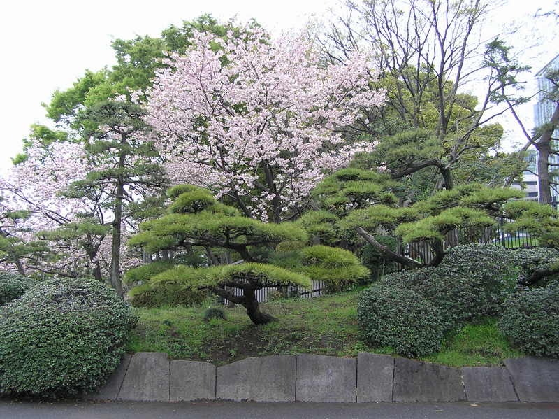 p4220135.jpg