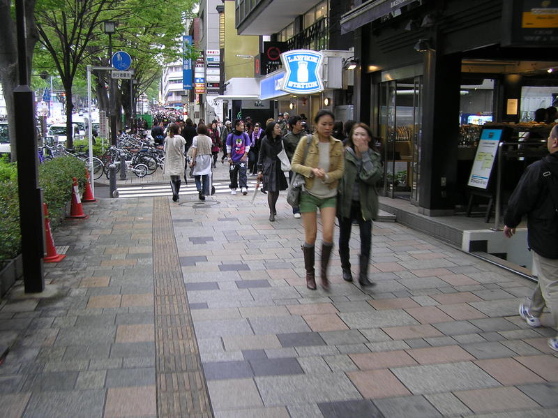 p4220142.jpg