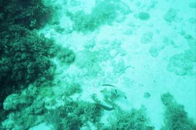 00a_0028.jpg