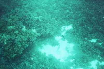 _9a_0037.jpg