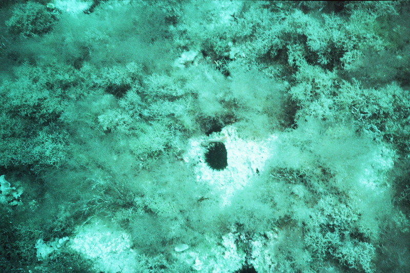 _27_0016.jpg