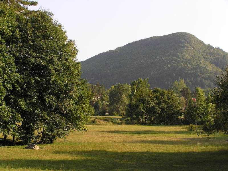 p9030049.jpg