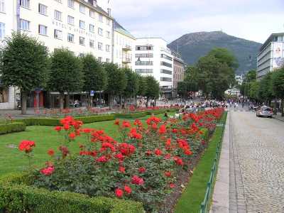 P8270271.JPG