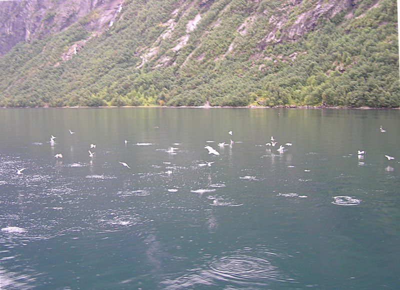 P8300456.JPG