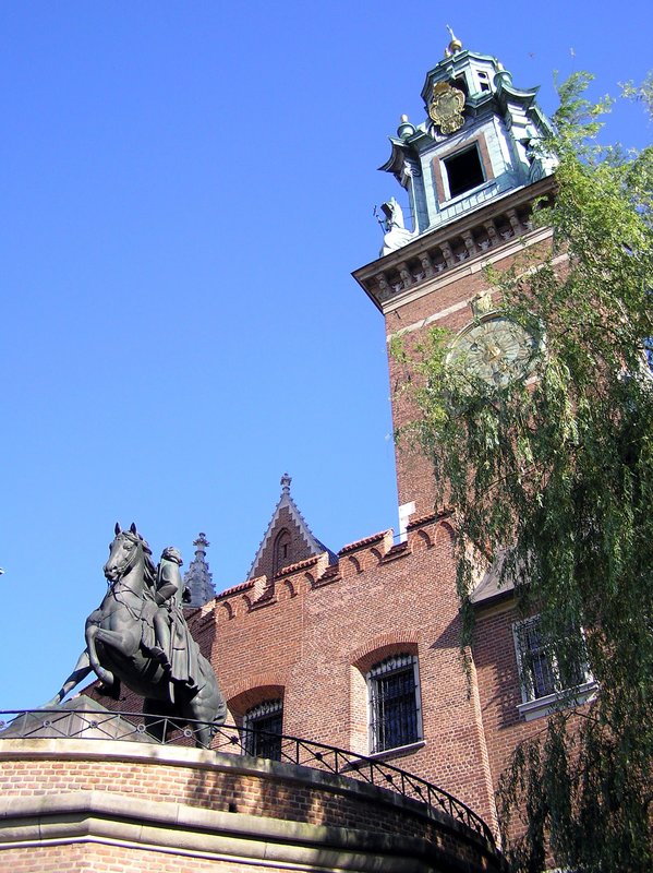 p7110231.jpg