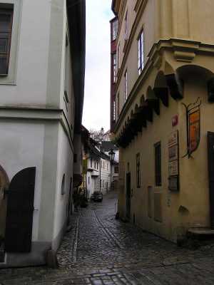 p1150134.jpg