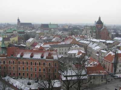 p1120007.jpg