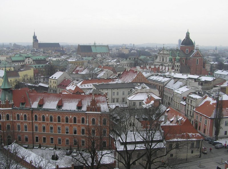 p1120007.jpg