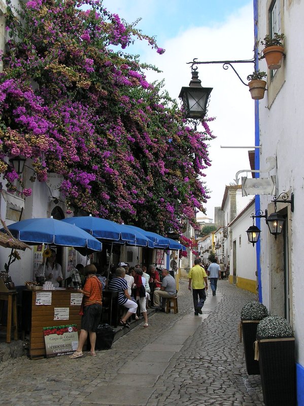PA040160.JPG