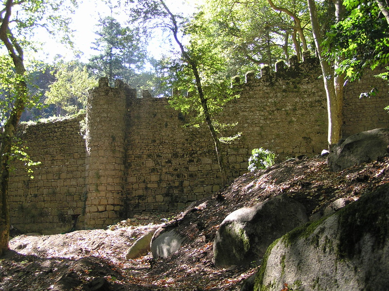 PA030125.JPG