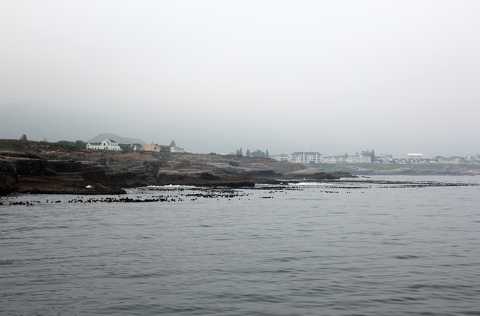 IMG_3340.JPG
