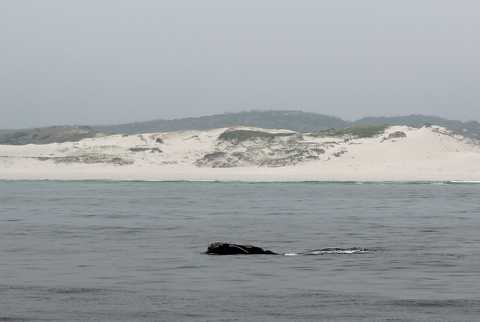 IMG_3351.JPG
