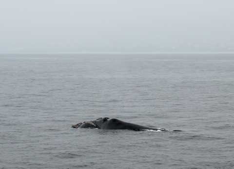 IMG_3367.JPG