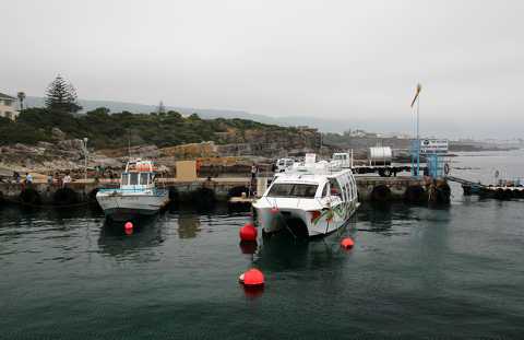 IMG_3468.JPG