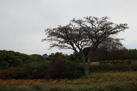 IMG_3473.JPG