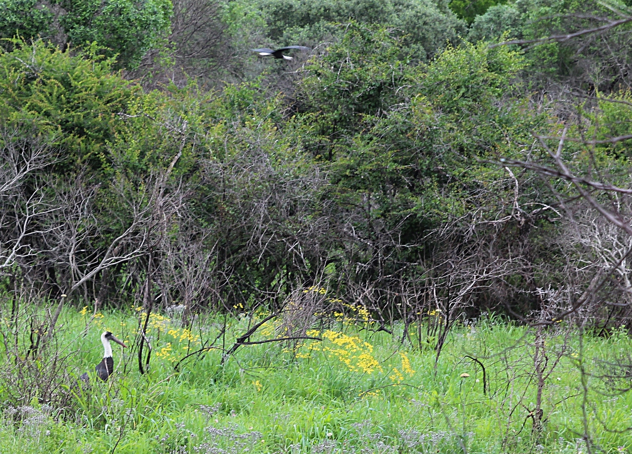 IMG_2541.JPG