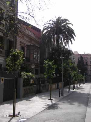 P4100002.JPG