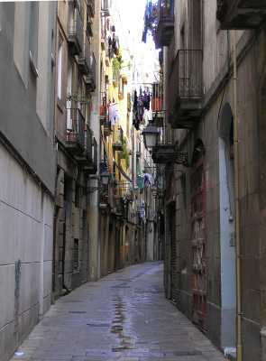 P4120158.JPG