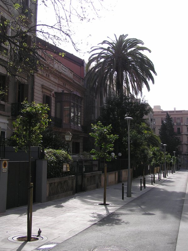 P4100002.JPG